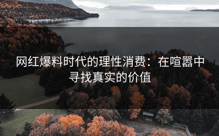 网红爆料时代的理性消费：在喧嚣中寻找真实的价值