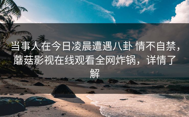 当事人在今日凌晨遭遇八卦 情不自禁，蘑菇影视在线观看全网炸锅，详情了解